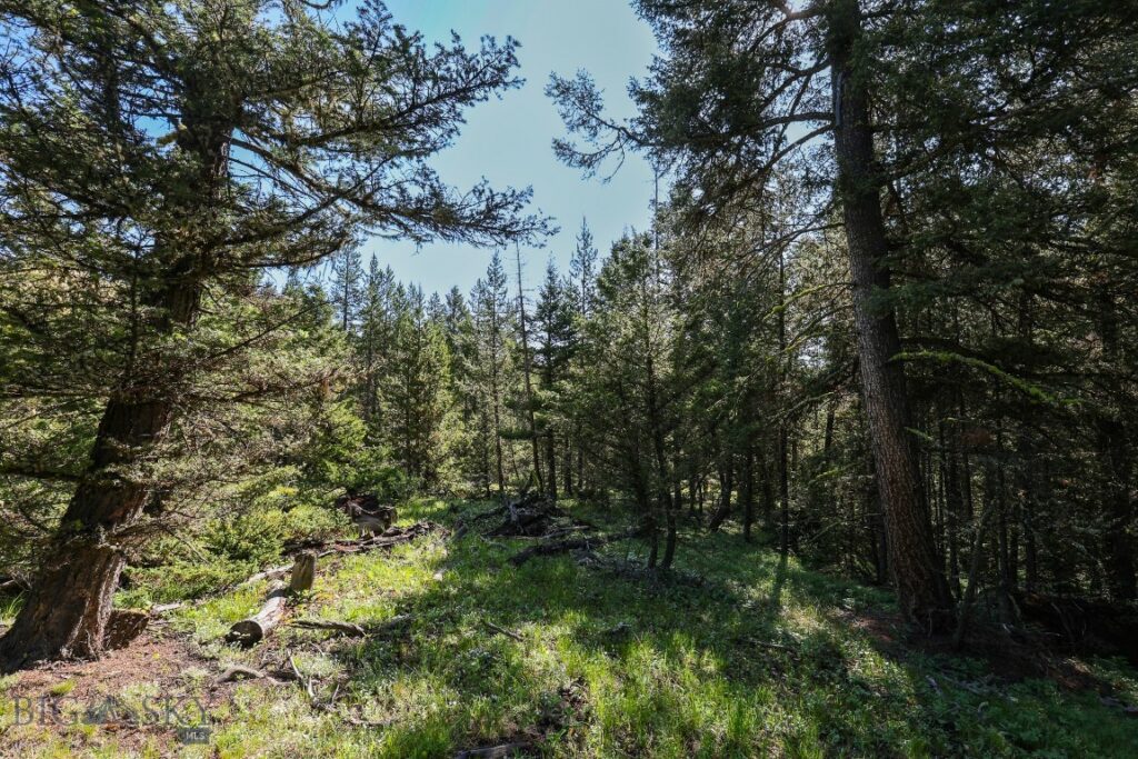 tbd Crown Butte - SPMC Ranch Lot 89
