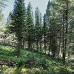 Big Sky MT 59716 - 4