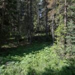 Big Sky MT 59716 - 5