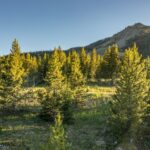 TBD Diamond Hitch Rd