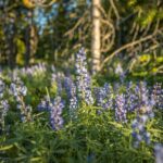 Big Sky MT 59716 - 6