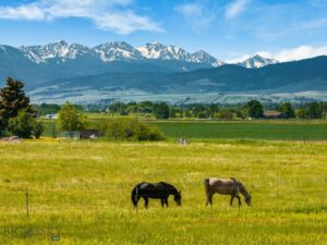 TBD Dovetail Lane, Bozeman MT 59715