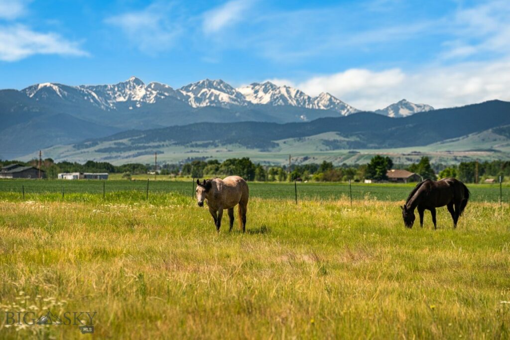Bozeman MT 59715 - 3