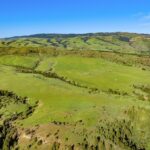 TBD Dry Creek Road