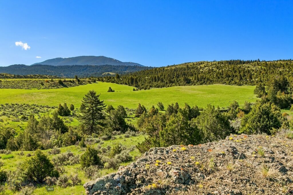 TBD Dry Creek Road