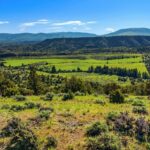 TBD Dry Creek Road