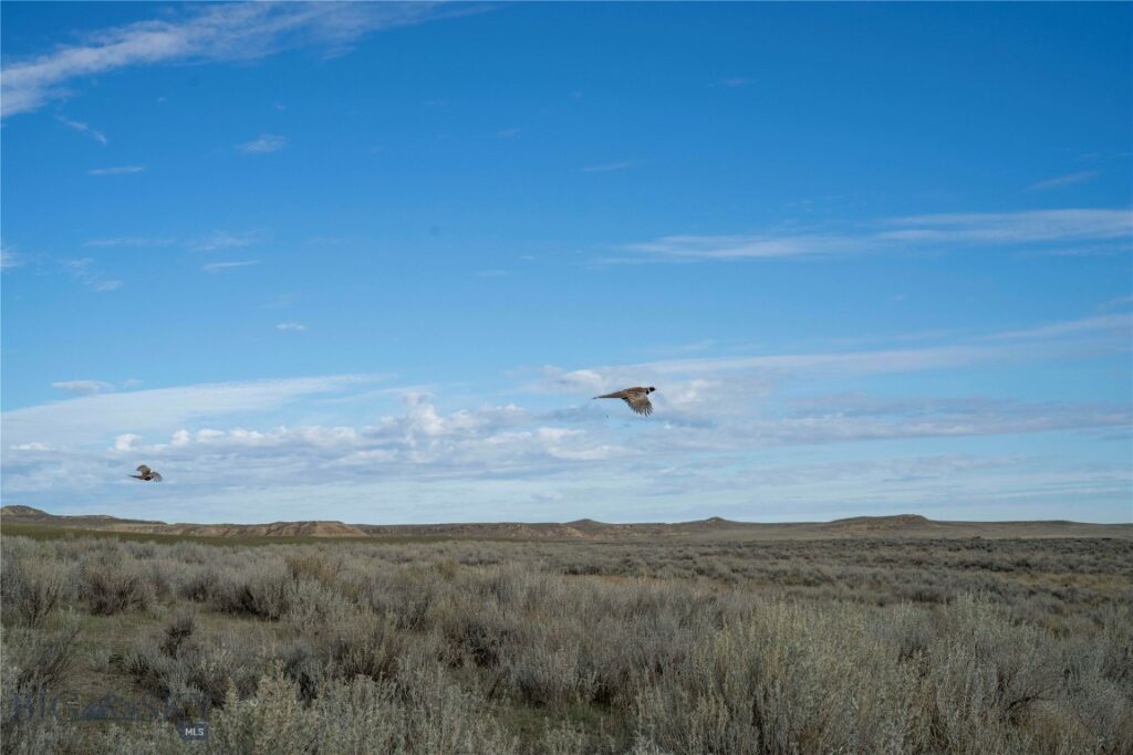 Fort Peck MT 59223 - 21