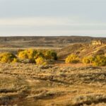 Fort Peck MT 59223 - 5