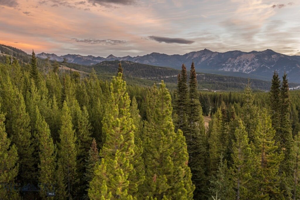 Big Sky MT 59716 - 1