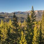 TBD Eagle View Trail