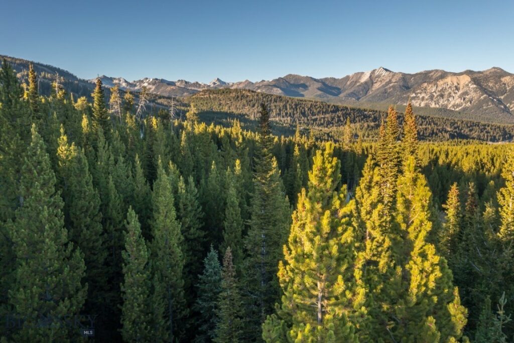 Big Sky MT 59716 - 7