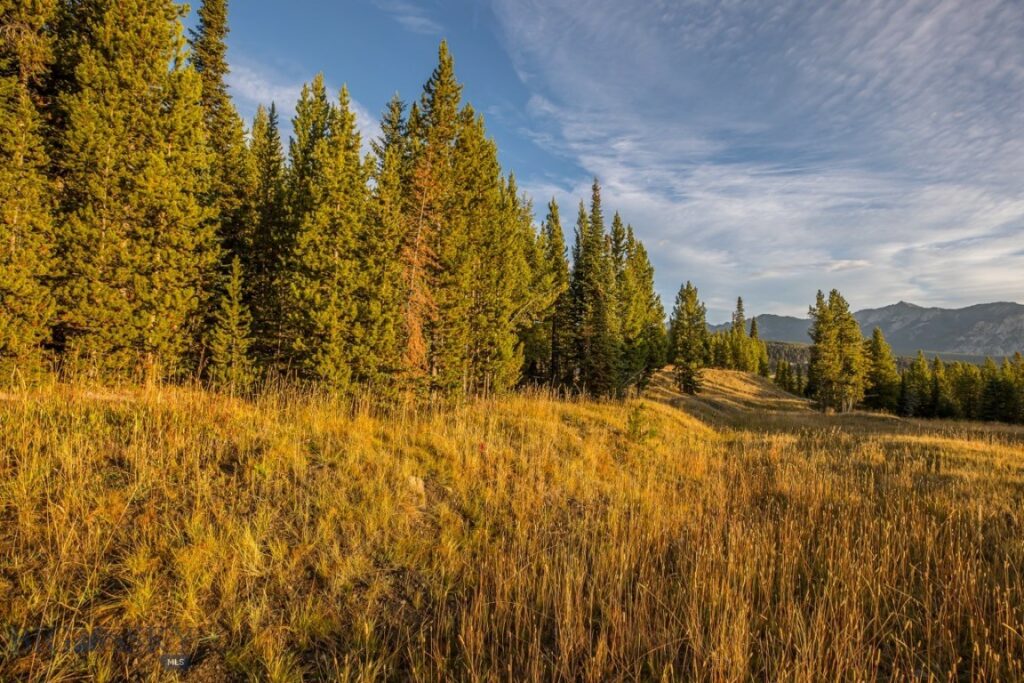 Big Sky MT 59716 - 4