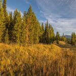 Big Sky MT 59716 - 4