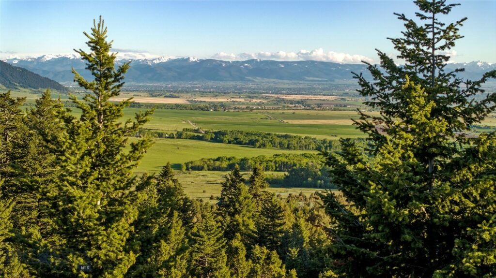 Belgrade MT 59714 - 6