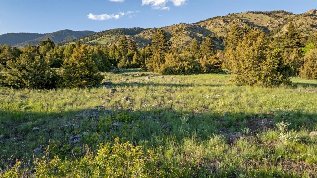 Belgrade MT 59714 - 8