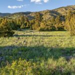 Belgrade MT 59714 - 8