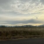 Bozeman MT 59718 - 1