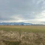Bozeman MT 59718 - 4