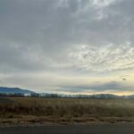 Bozeman MT 59718 - 5