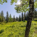 Big Sky MT 59716 - 8