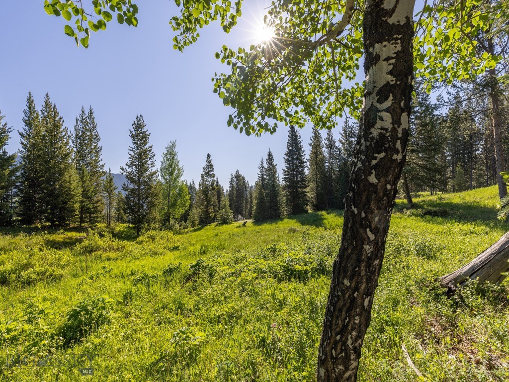 Big Sky MT 59716 - 8