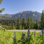 Big Sky MT 59716 - 9