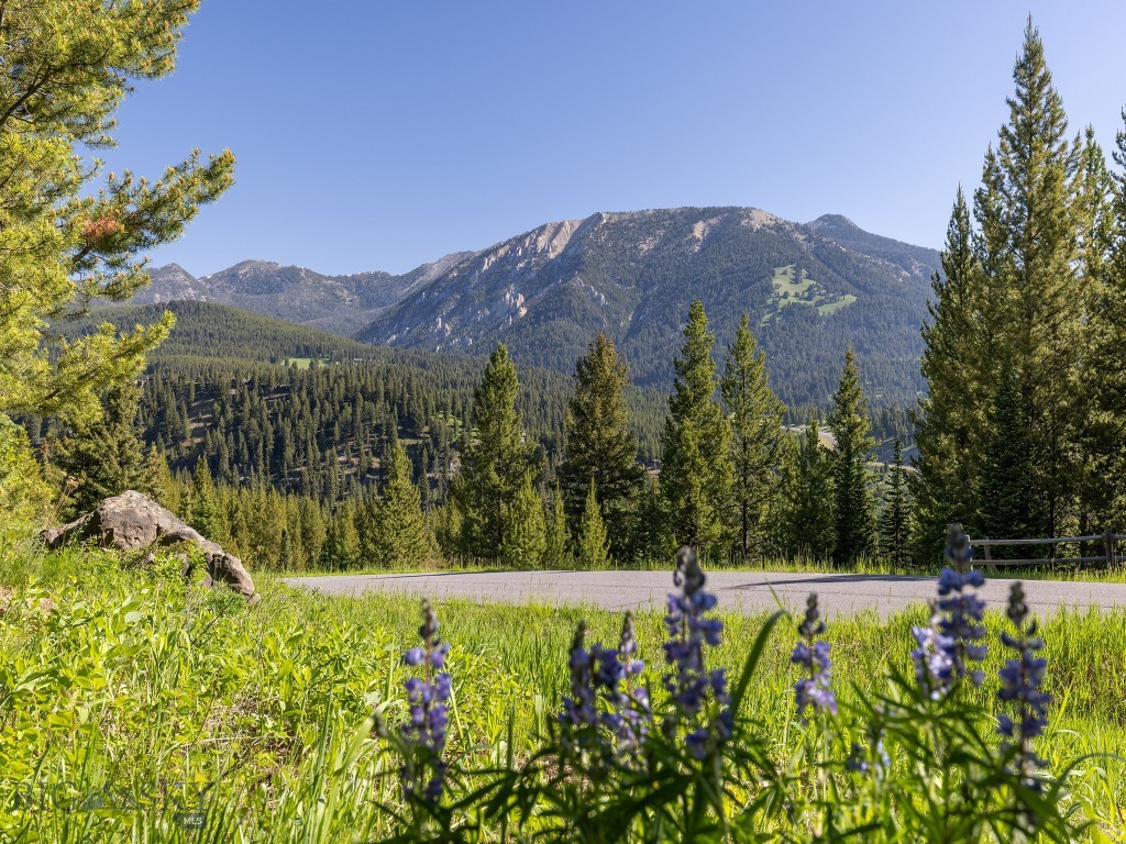 Big Sky MT 59716 - 9