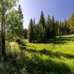 Big Sky MT 59716 - 10