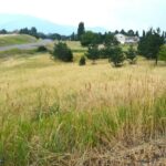 Bozeman MT 59715 - 6