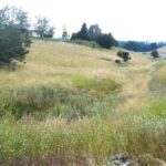 Bozeman MT 59715 - 8