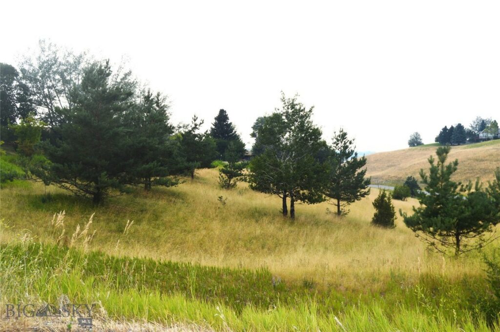 Bozeman MT 59715 - 9