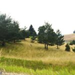 Bozeman MT 59715 - 9