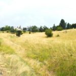 Bozeman MT 59715 - 10