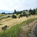 Bozeman MT 59715 - 2