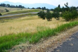 TBD Itana Circle, Bozeman MT 59715