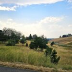 Bozeman MT 59715 - 3