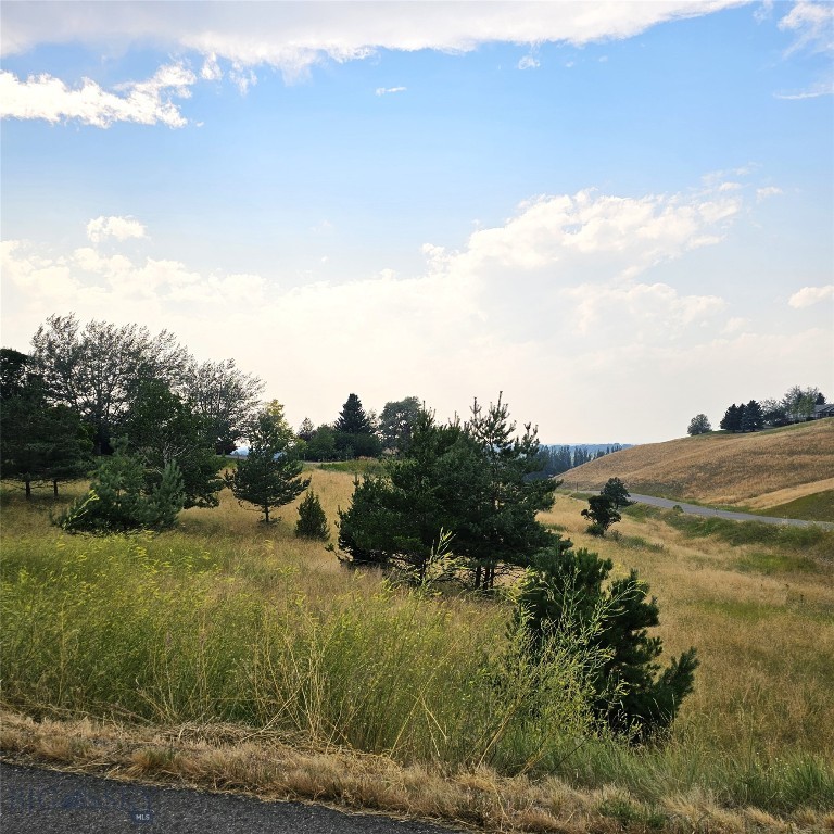 Bozeman MT 59715 - 3