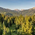 Big Sky MT 59729 - 12