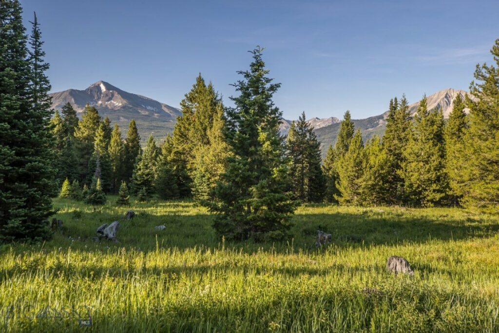 Big Sky MT 59729 - 3
