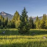 Big Sky MT 59729 - 3