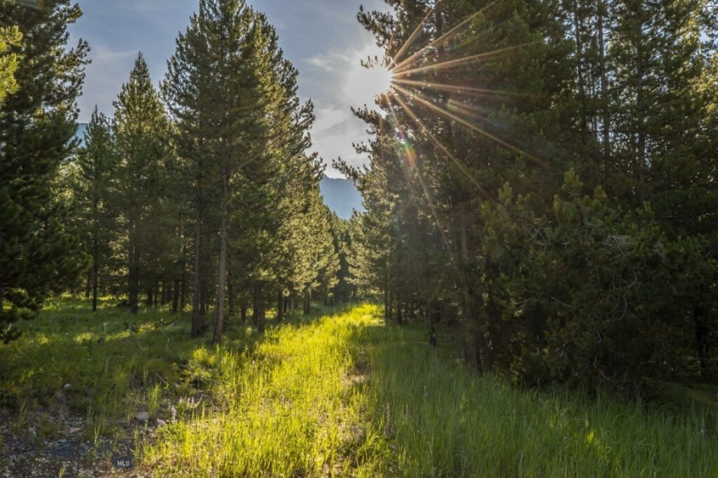 TBD Jack Creek Road