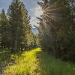 TBD Jack Creek Road