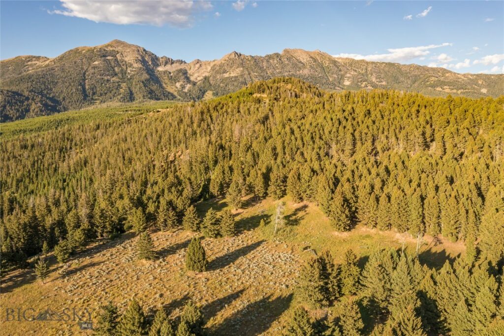 Moonlight Territory Parcel 5