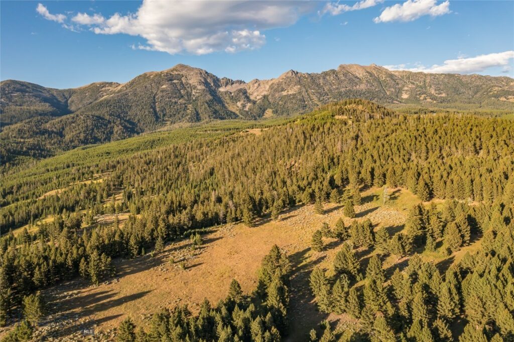 Moonlight Territory Parcel 5