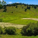 TBD Jackson Creek Road