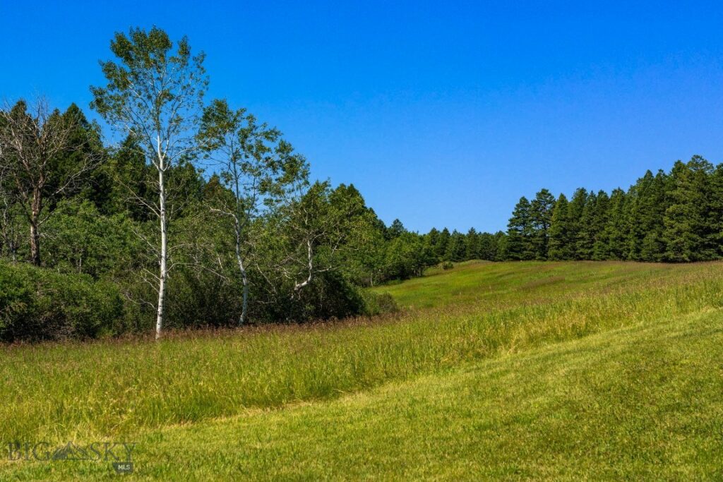 TBD Jackson Creek Road