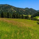 Bozeman MT 59715 - 11