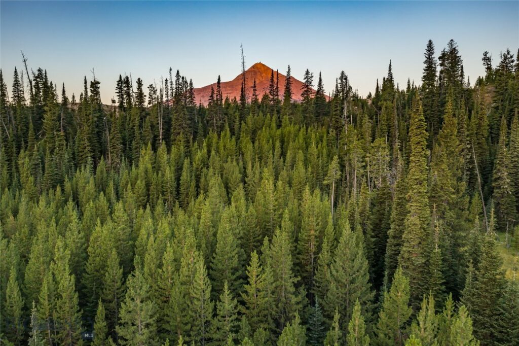 Big Sky MT 59716 - 2