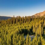 Big Sky MT 59716 - 5