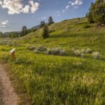 Big Sky MT 59716 - 8